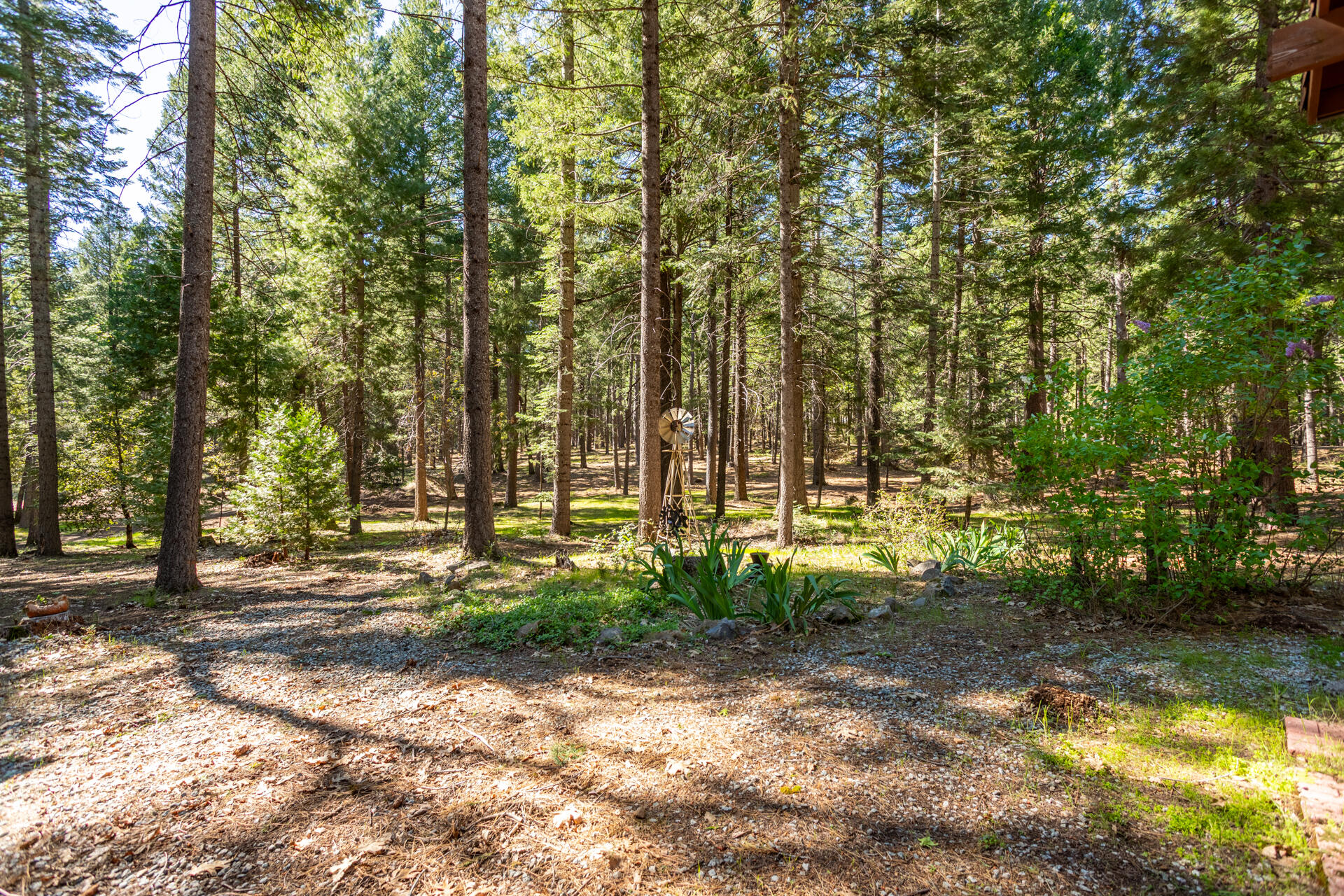 30481 Rl Smith Logging Road Oak Run, CA 96069 - Photo 27 of 41 IMG_6197-HDR