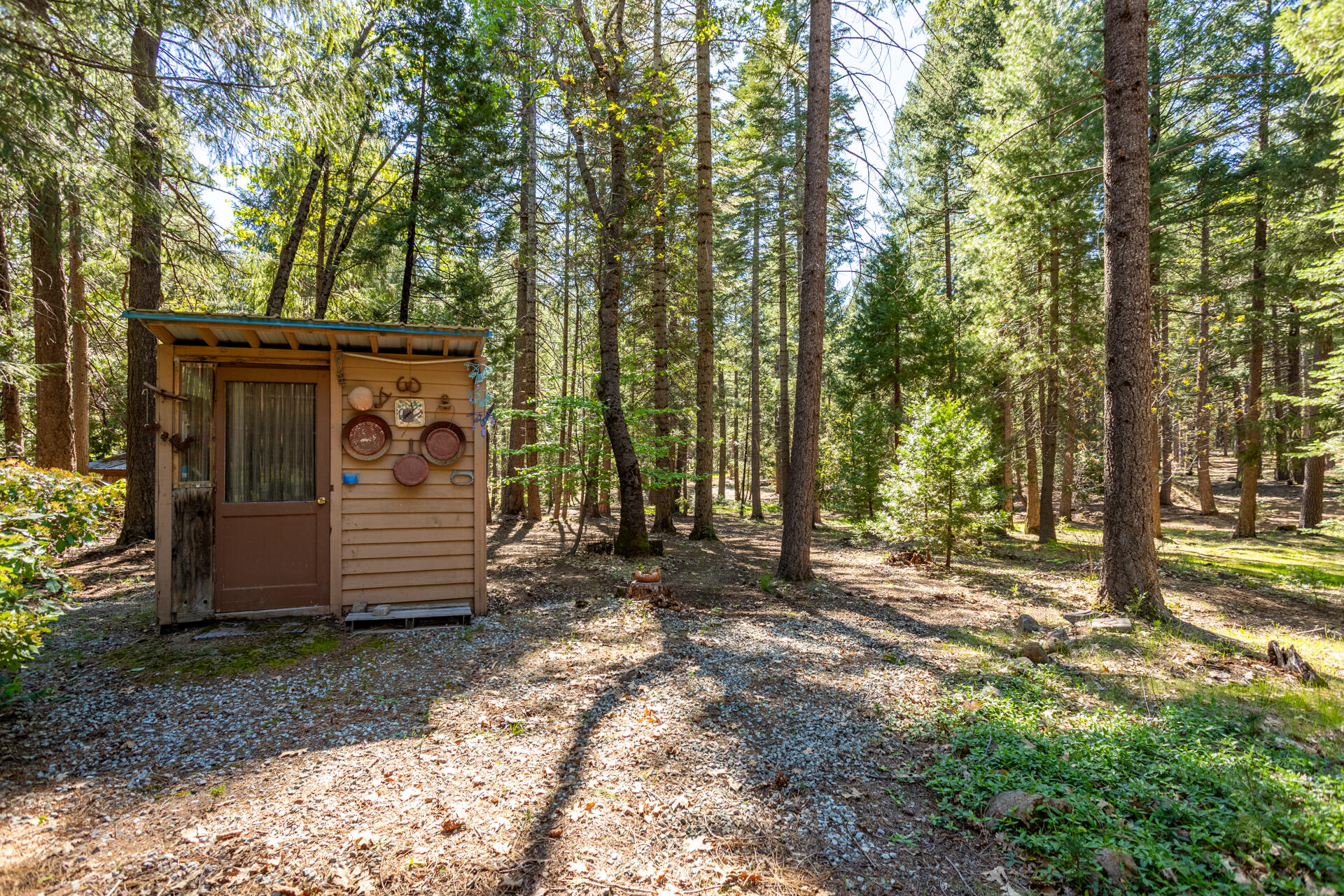 30481 Rl Smith Logging Road Oak Run, CA 96069 - Photo 28 of 41 IMG_6202-HDR