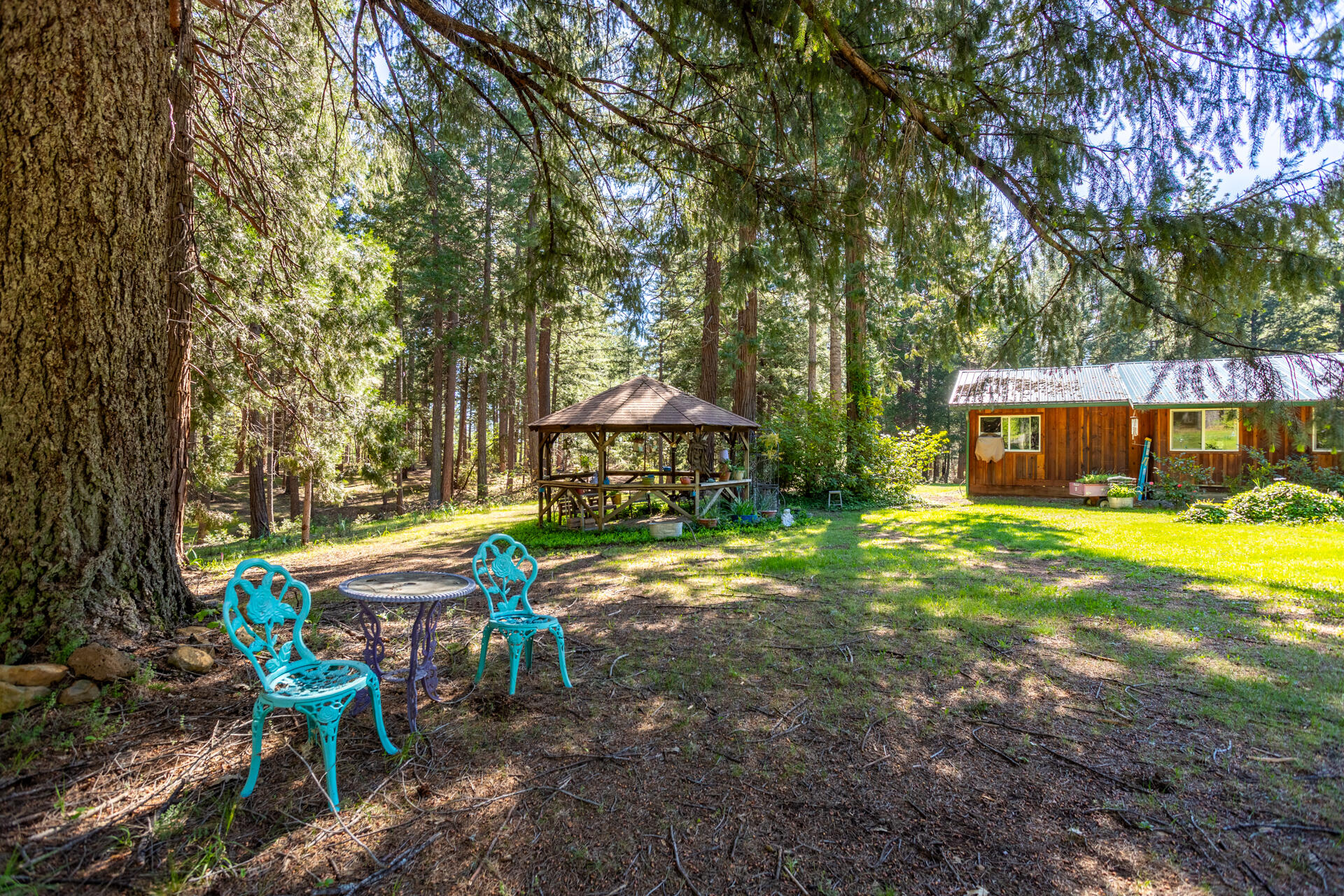 30481 Rl Smith Logging Road Oak Run, CA 96069 - Photo 37 of 41 IMG_6272-HDR