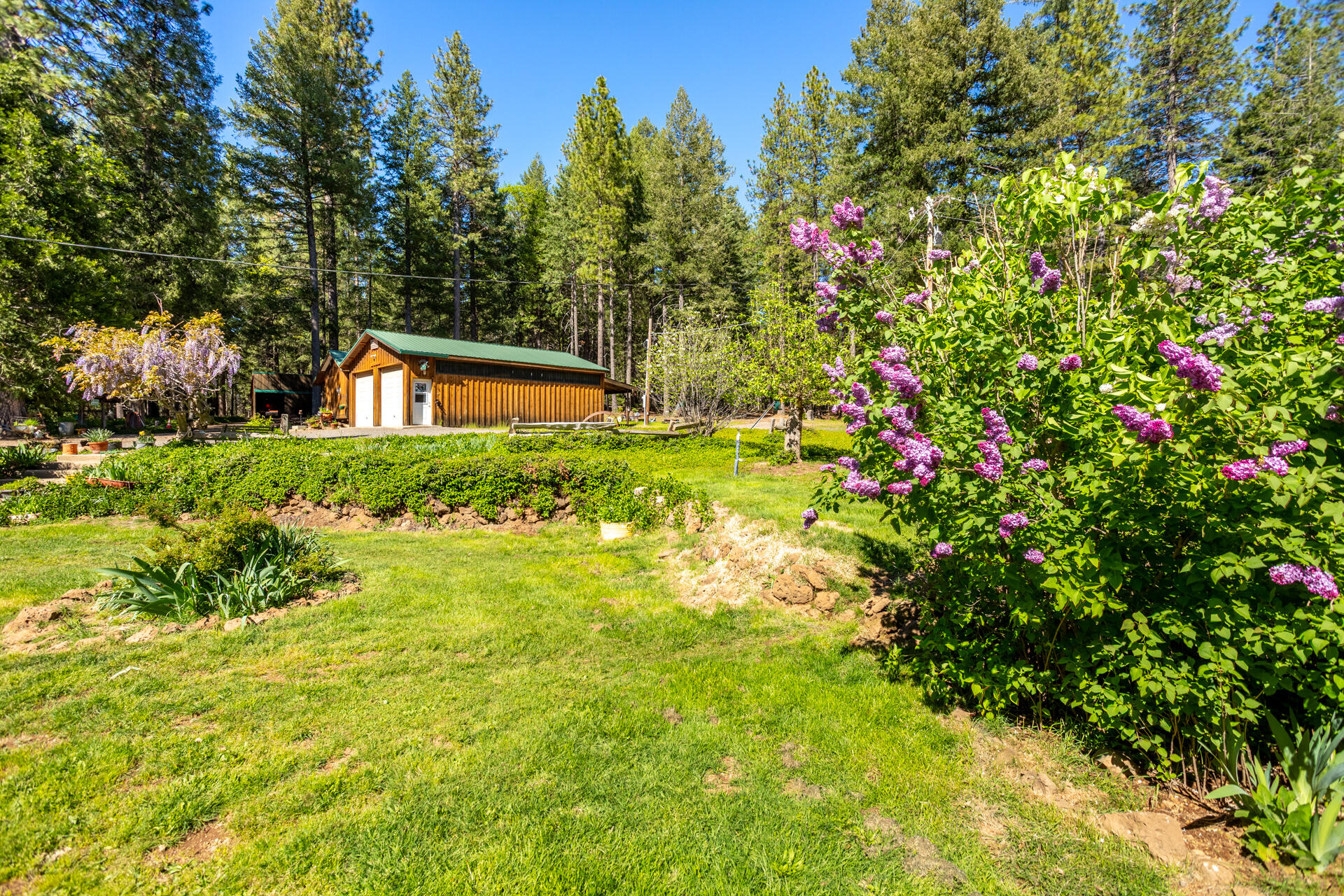 30481 Rl Smith Logging Road Oak Run, CA 96069 - Photo 38 of 41 IMG_6283-HDR