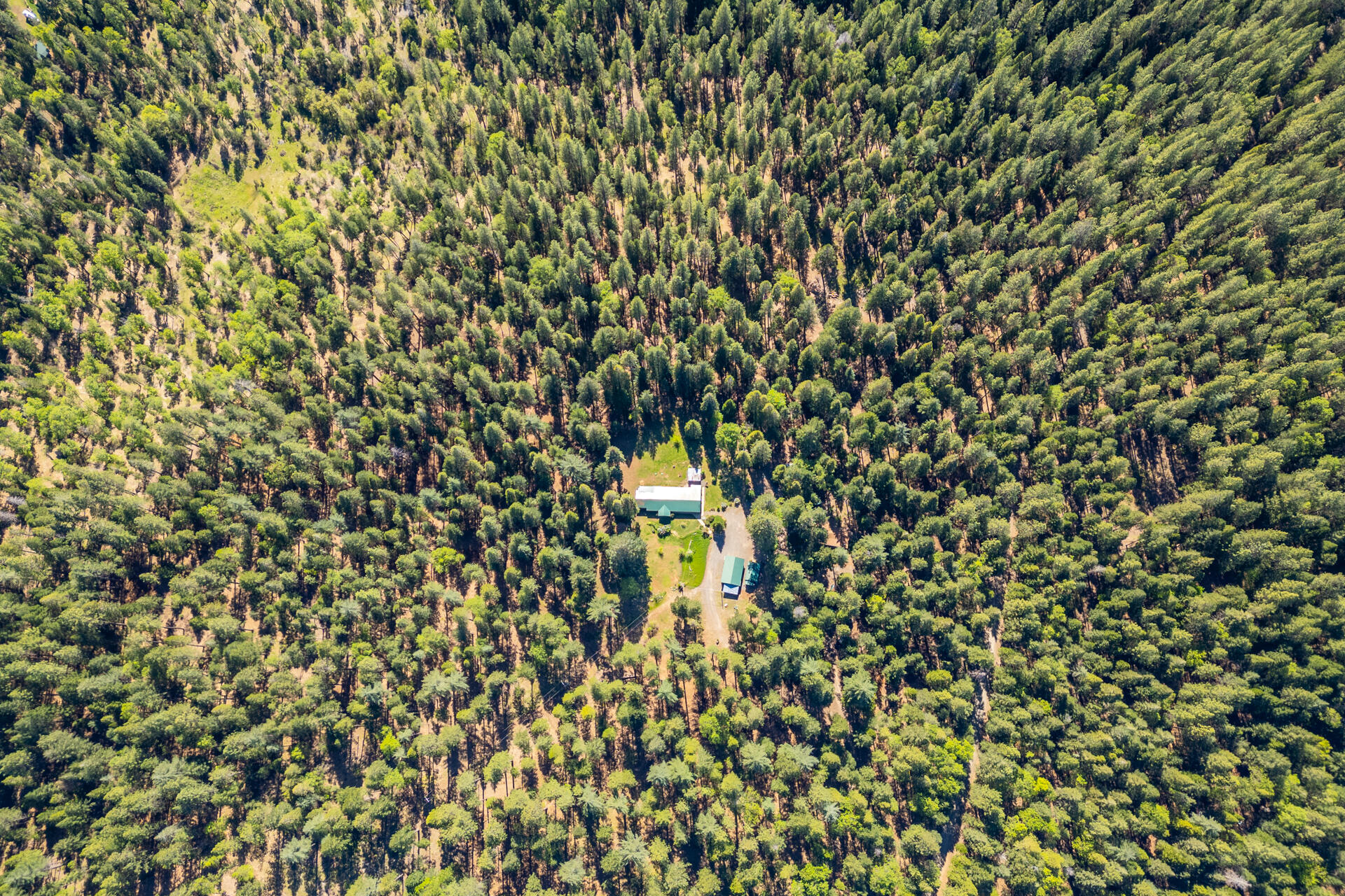 30481 Rl Smith Logging Road Oak Run, CA 96069 - Photo 4 of 41 DJI_0928-HDR
