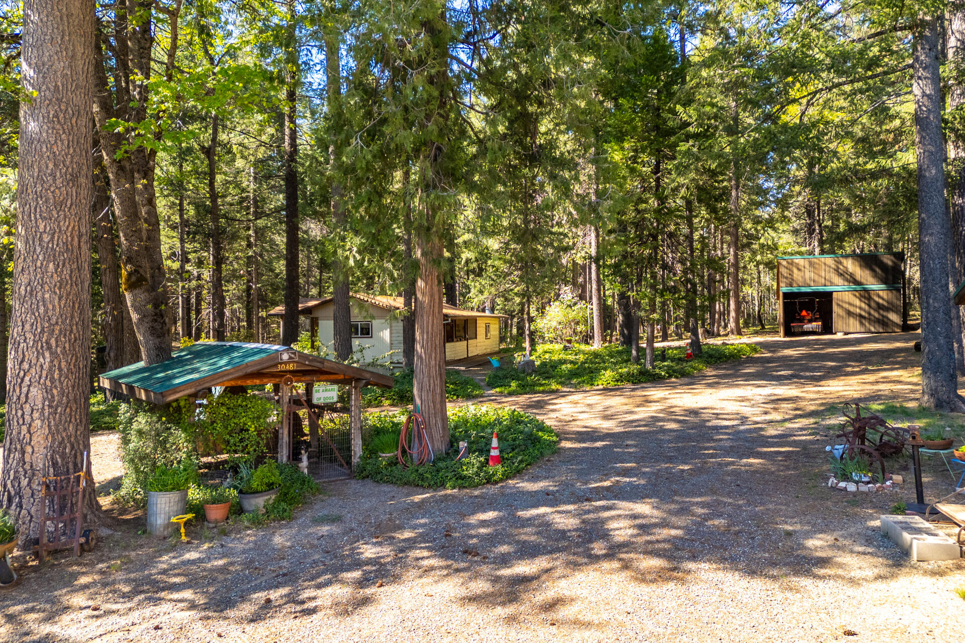 30481 Rl Smith Logging Road Oak Run, CA 96069 - Photo 9 of 41 DJI_0973-HDR