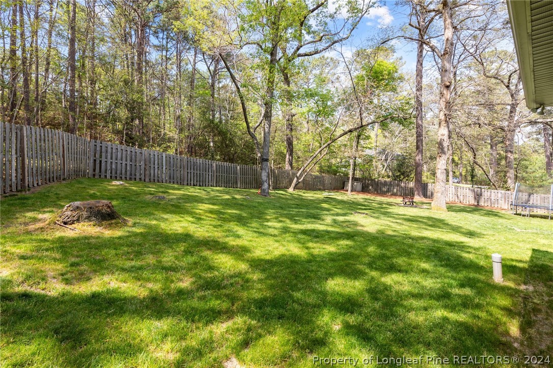 208 Rob Roy Road Southern Pines, NC 28387 - Photo 38 of 48 a garden view with tall trees