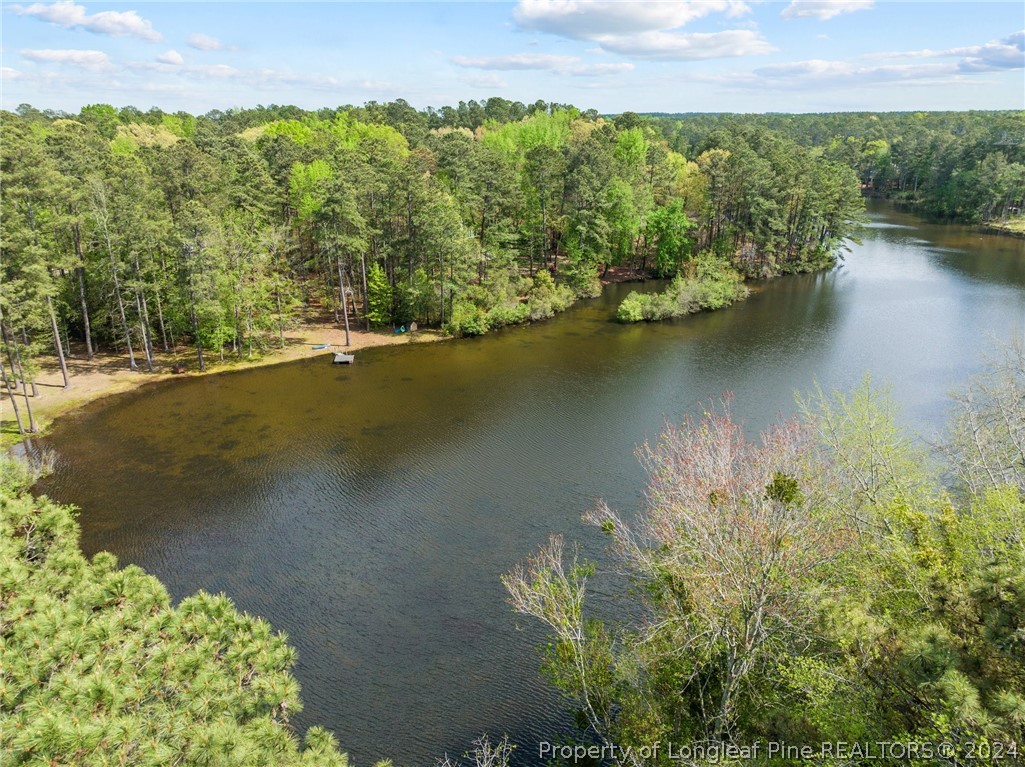 208 Rob Roy Road Southern Pines, NC 28387 - Photo 46 of 48 a view of a lake with a city