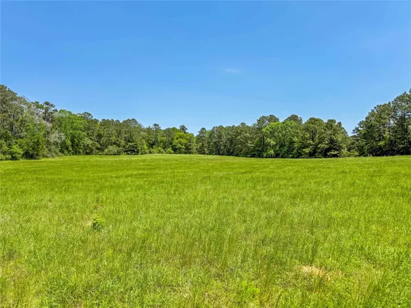 a view of a green field with clear sky