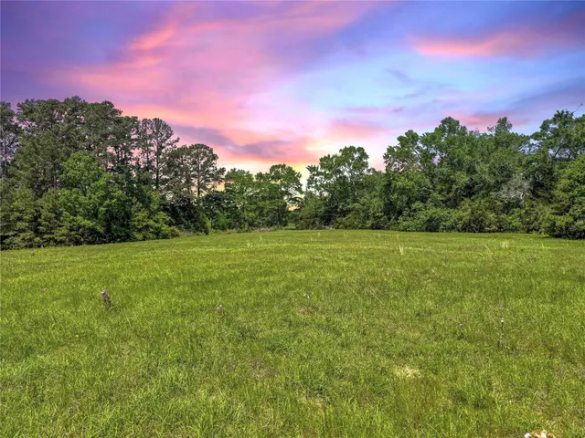 a view of a field with a tree in the background