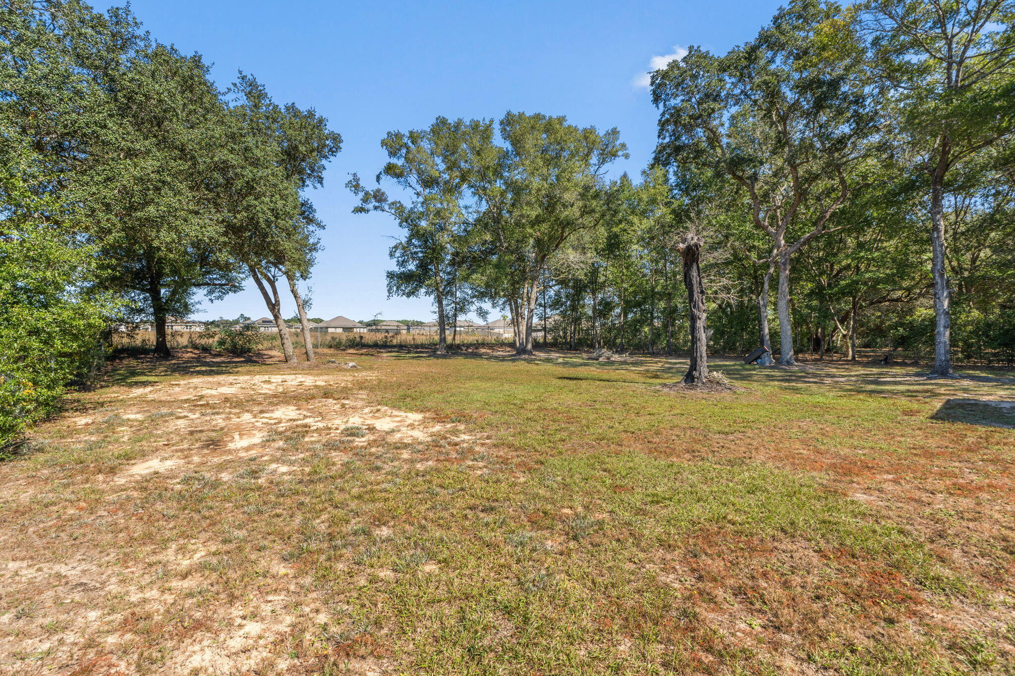 8680 John Hamm Road Milton, FL 32583 - Photo 40 of 44 a view of a yard with a trees