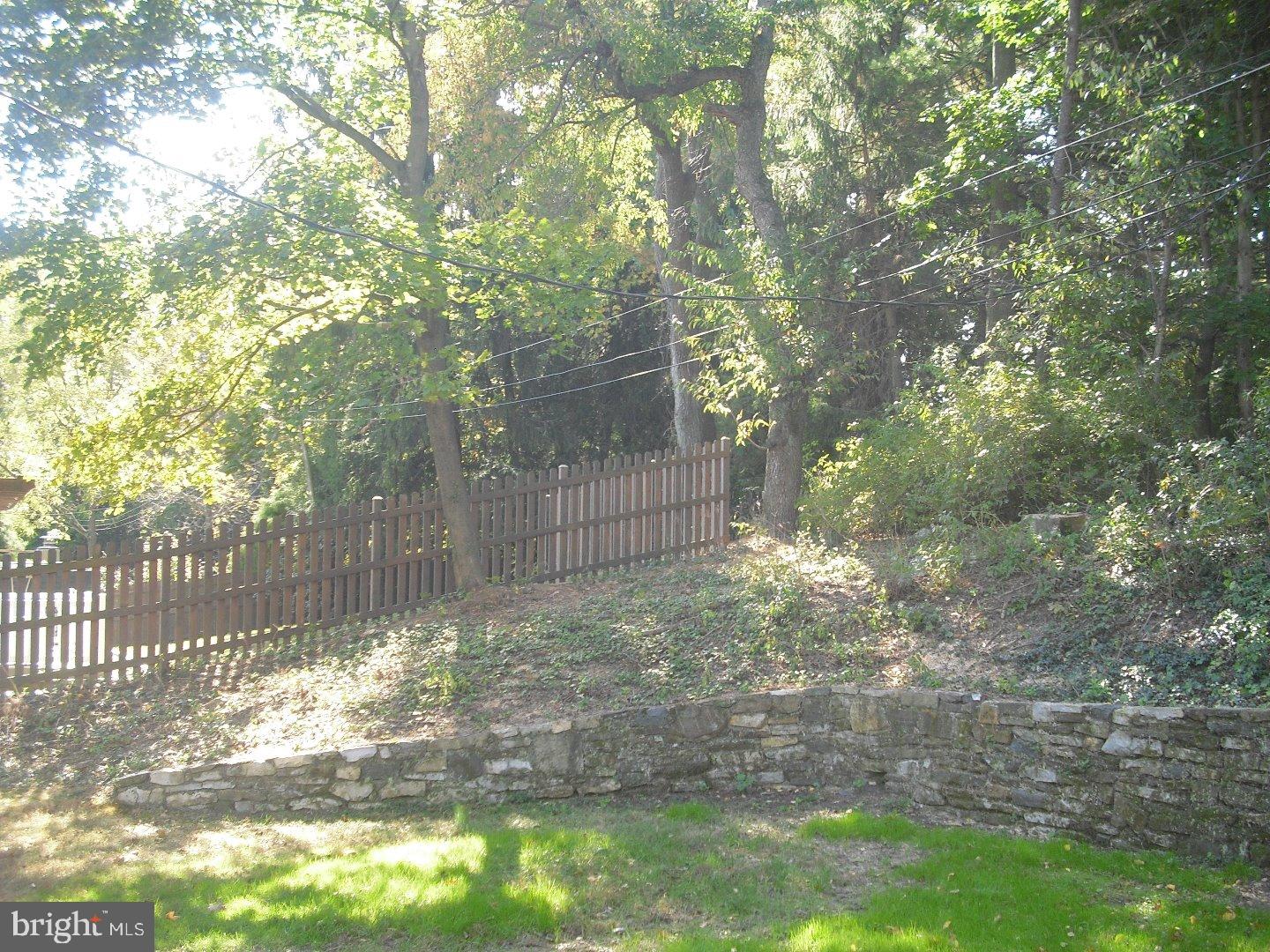 116 Bartholomew Road Berwyn, PA 19312 - Photo 22 of 24 a view of a yard with plants and large trees