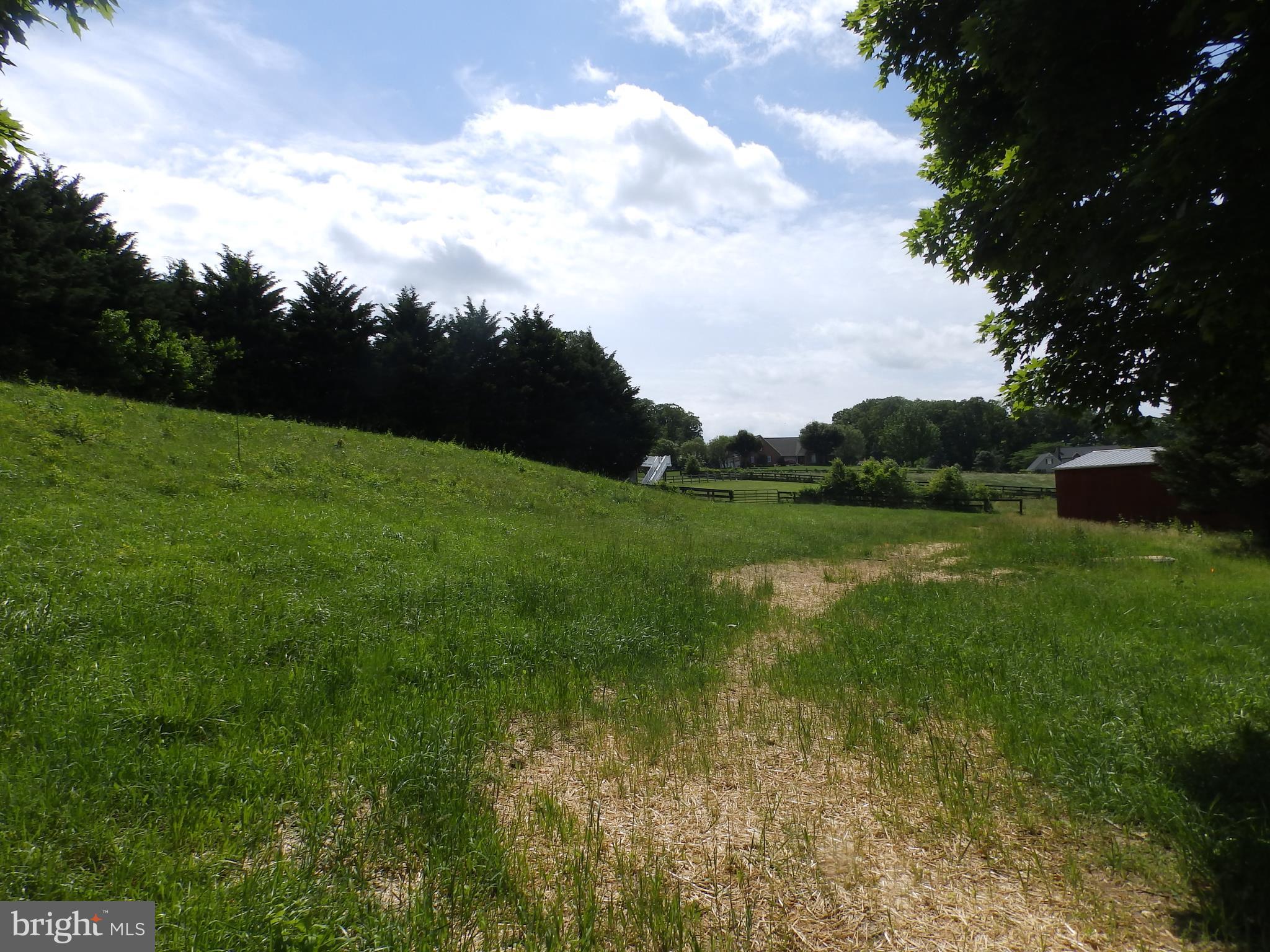 3847 Maple Grove Road Manchester, MD 21102 - Photo 55 of 57 Pasture