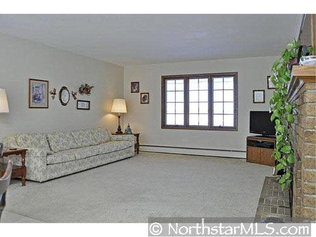 8515 Reitz Lake Road Waconia, MN 55387 - Photo 4 of 9 Gallery Image 4
