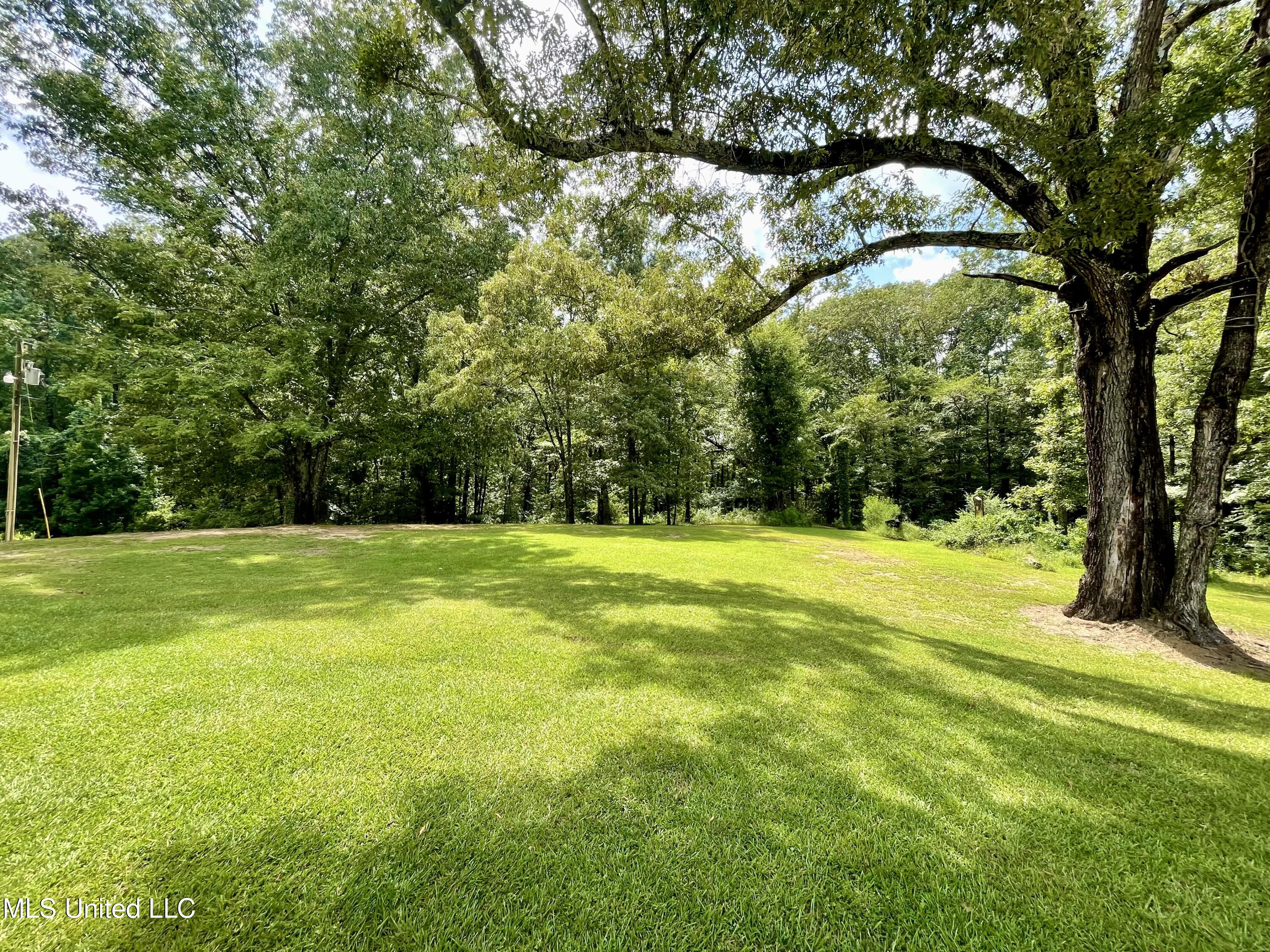 10365 Dry Grove Road Raymond, MS 39154 - Photo 65 of 83 IMG_7779