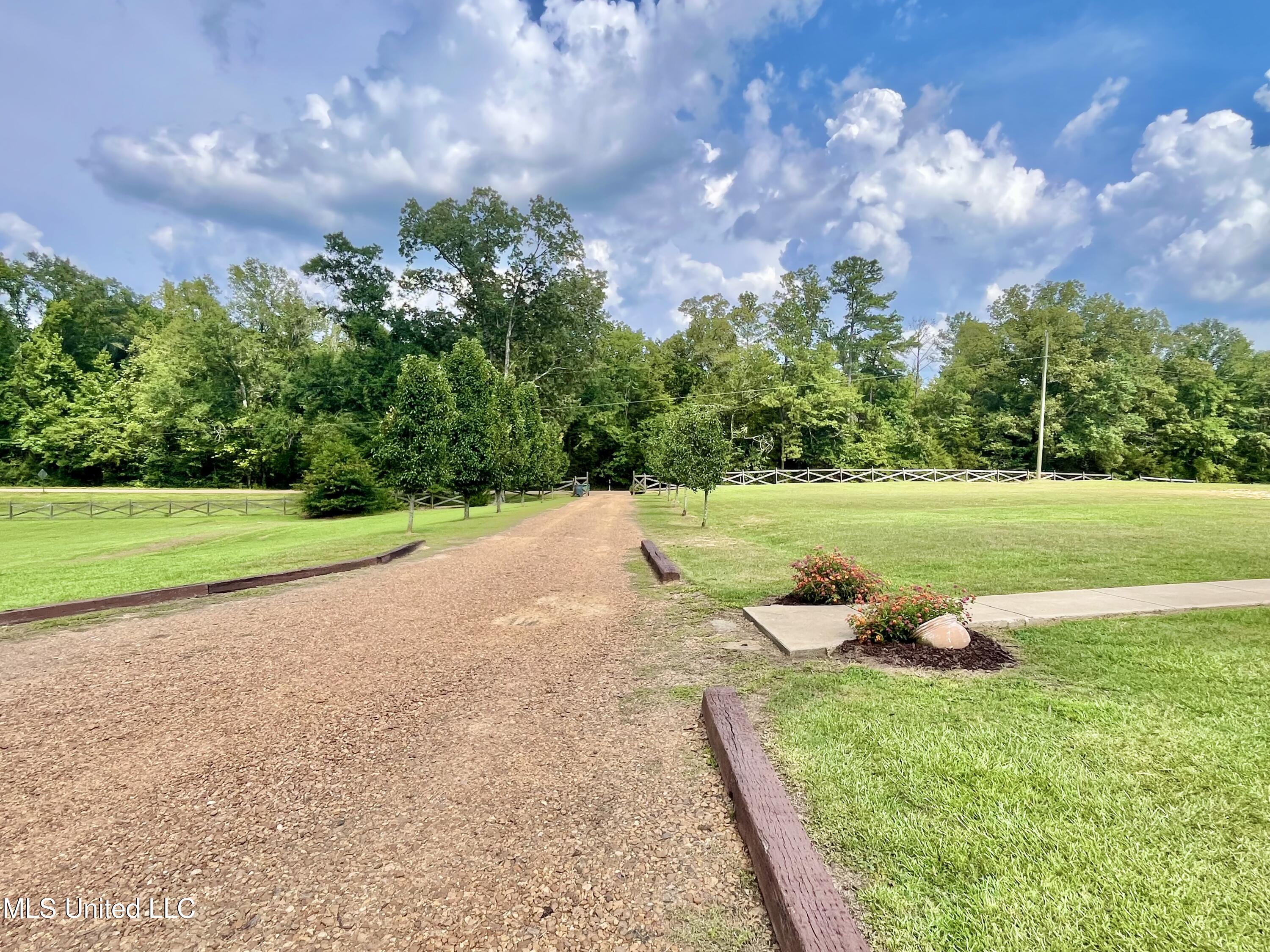 10365 Dry Grove Road Raymond, MS 39154 - Photo 71 of 83 IMG_2290