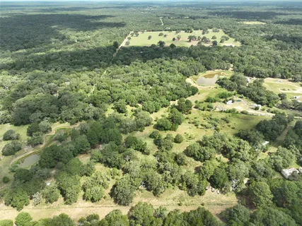 a view of a forest from a yard