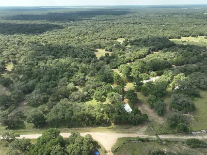 a view of a forest with a lake