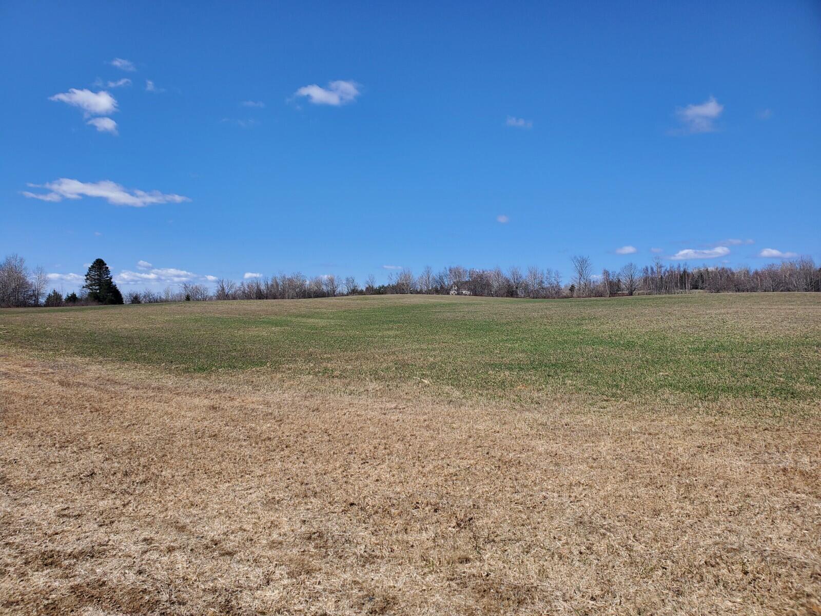 0 Townline Road Merrill, ME 04780 - Photo 10 of 13 20220506_100823