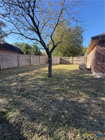 a view of a yard with a tree
