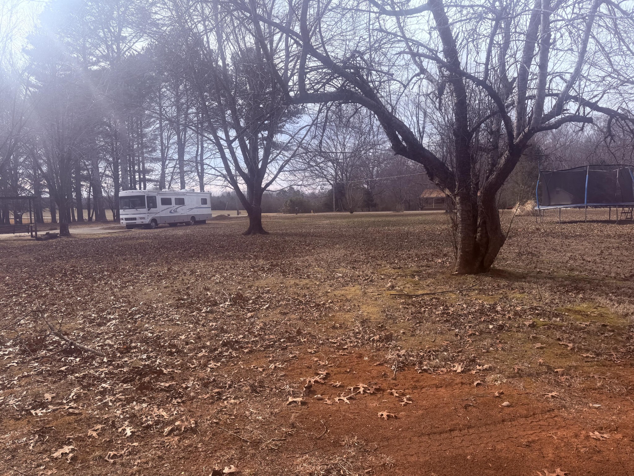 611 Thacker Road Manchester, TN 37355 - Photo 4 of 23 a view of yard with trees