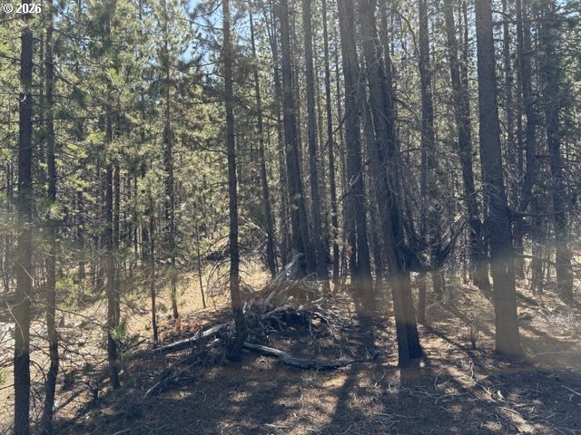 27 Surveyor Road Crescent Lake, OR 97733 - Photo 5 of 10