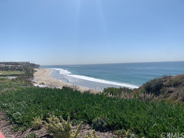 210 Monarch Bay Drive Dana Point, CA 92629 - Photo 2 of 45