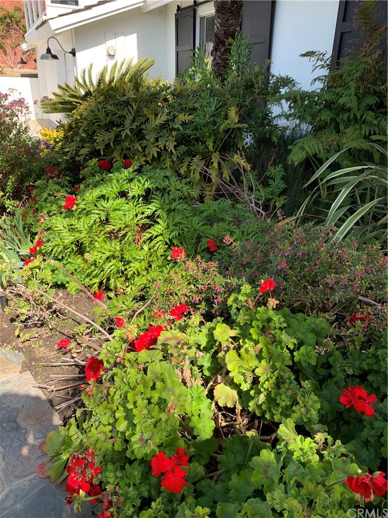 210 Monarch Bay Drive Dana Point, CA 92629 - Photo 38 of 45