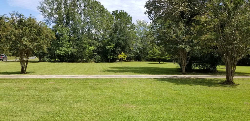 1210 Craig Road Sumter, SC 29153 - Photo 10 of 60 Gallery Image 10