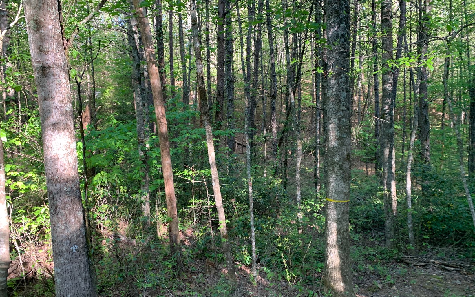 Lot #4 Hunter Vly Road Murphy, NC 28906 - Photo 12 of 14 Additional View