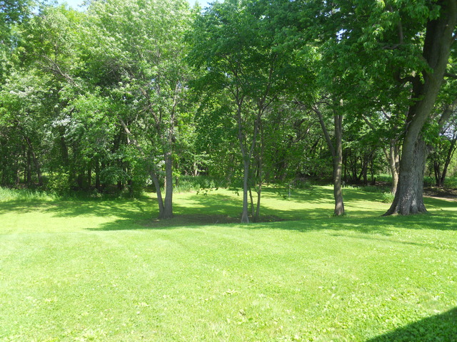 25018 Prophet Road Rock Falls, IL 61071 - Photo 6 of 8 a view of a trees with a park