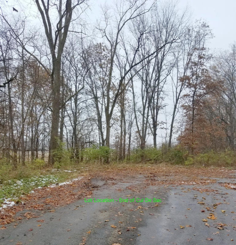 Lot 56 Venta Road Three Rivers, MI 49093 - Photo 4 of 8 Lot Location