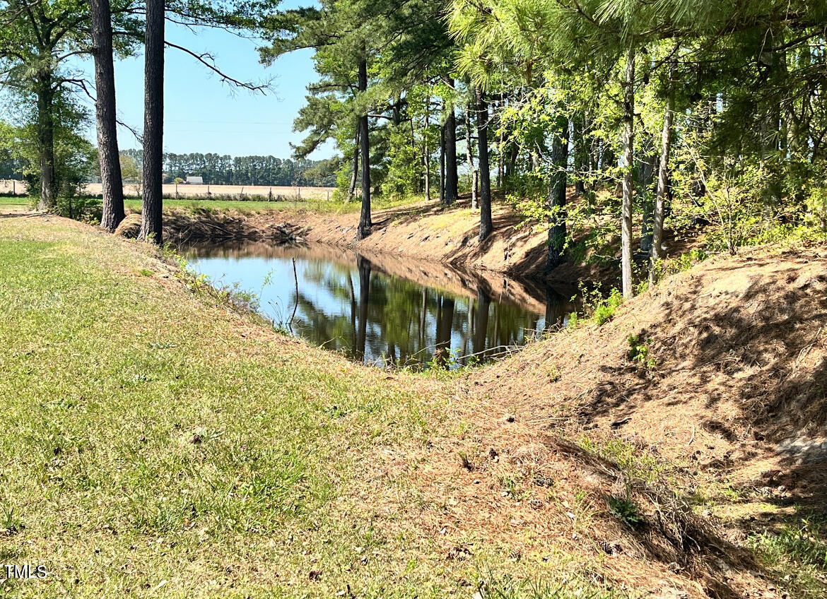 744 Alderman Mill Road Dunn, NC 28334 - Photo 50 of 50 a view of a yard with large trees