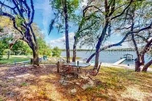 a view of a yard with a tree