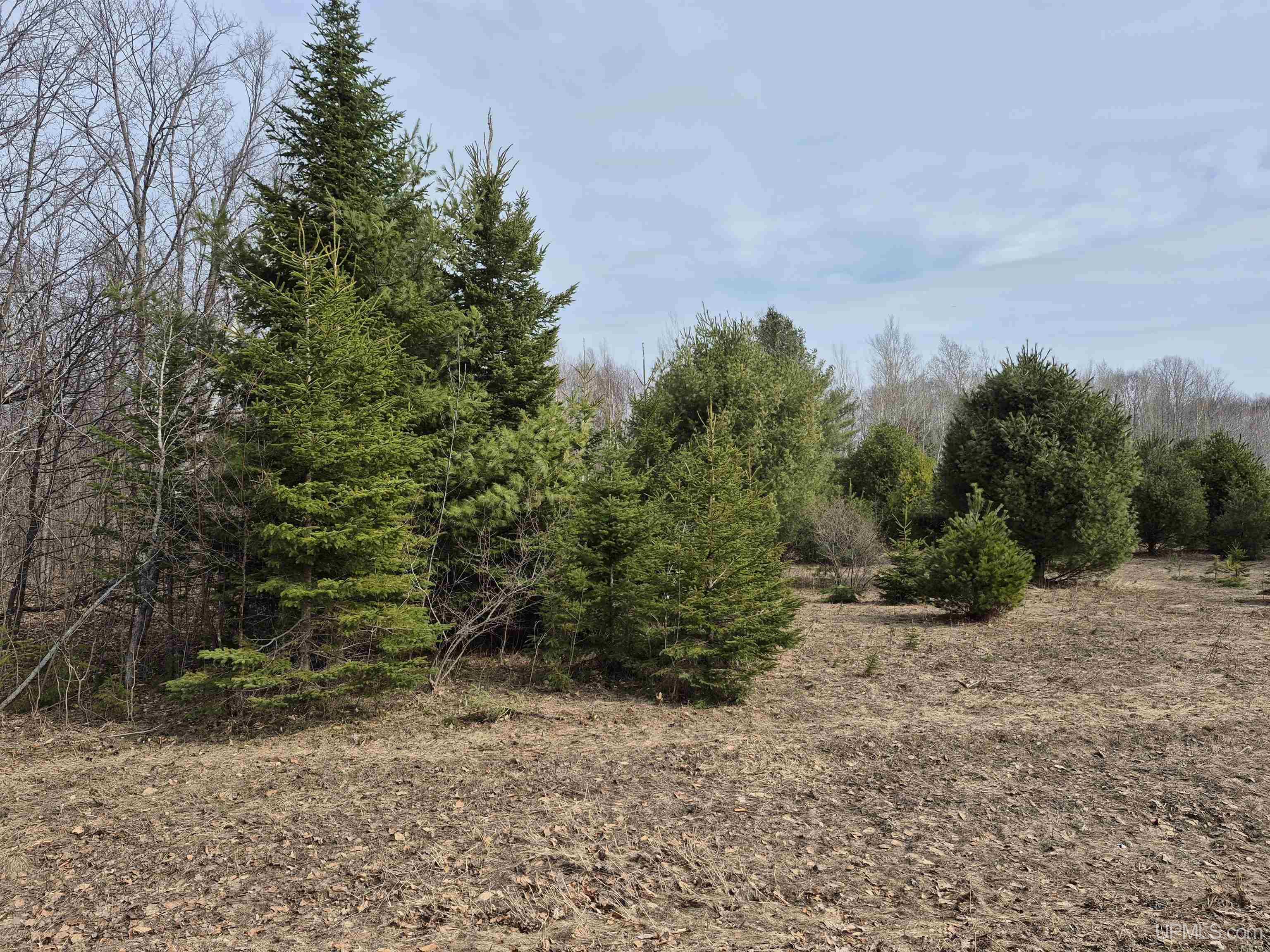 3754 Quarry Road Gulliver, MI 49840 - Photo 5 of 77