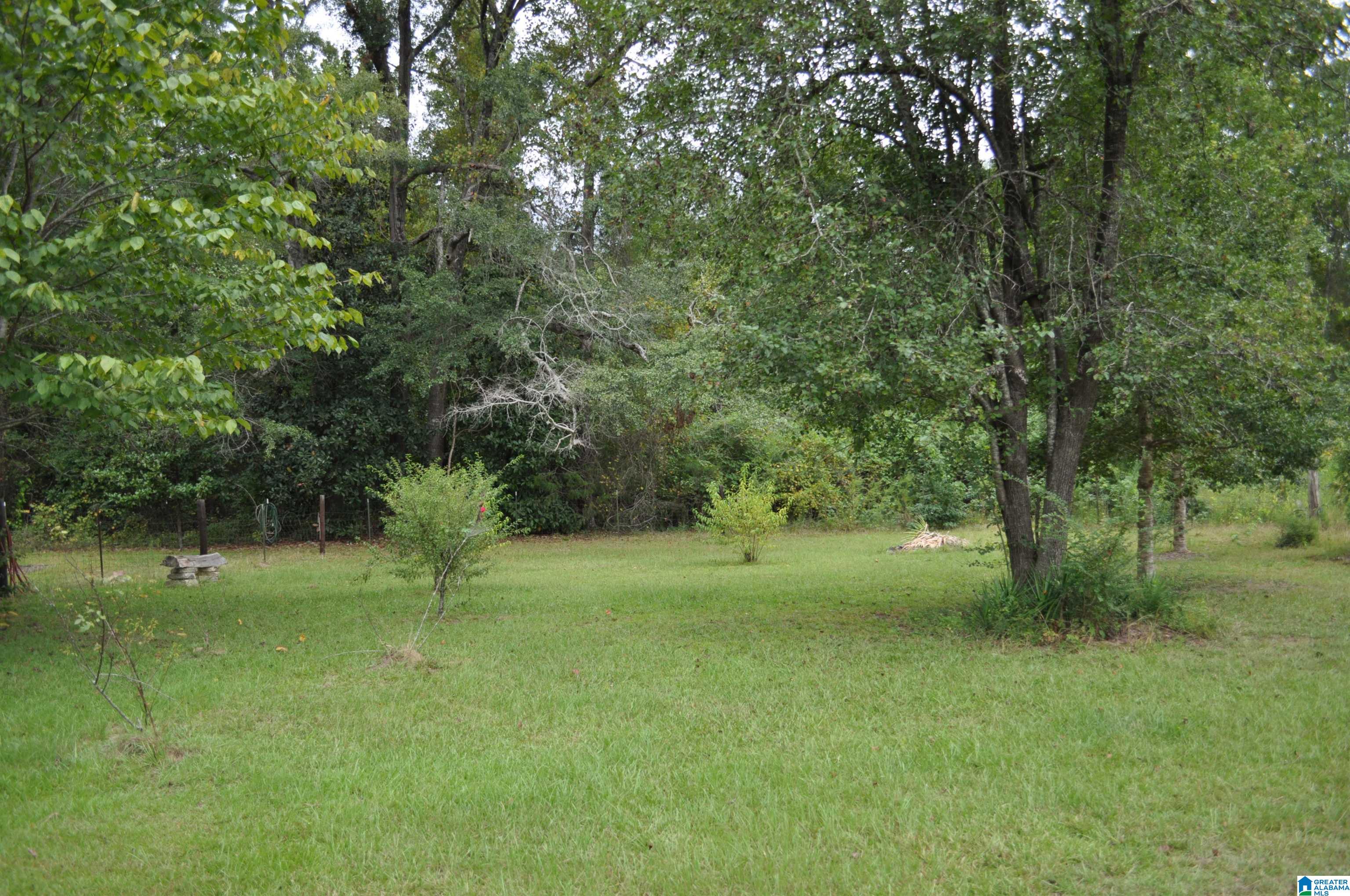 3354 Highway 22 Stanton, AL 36790 - Photo 11 of 14