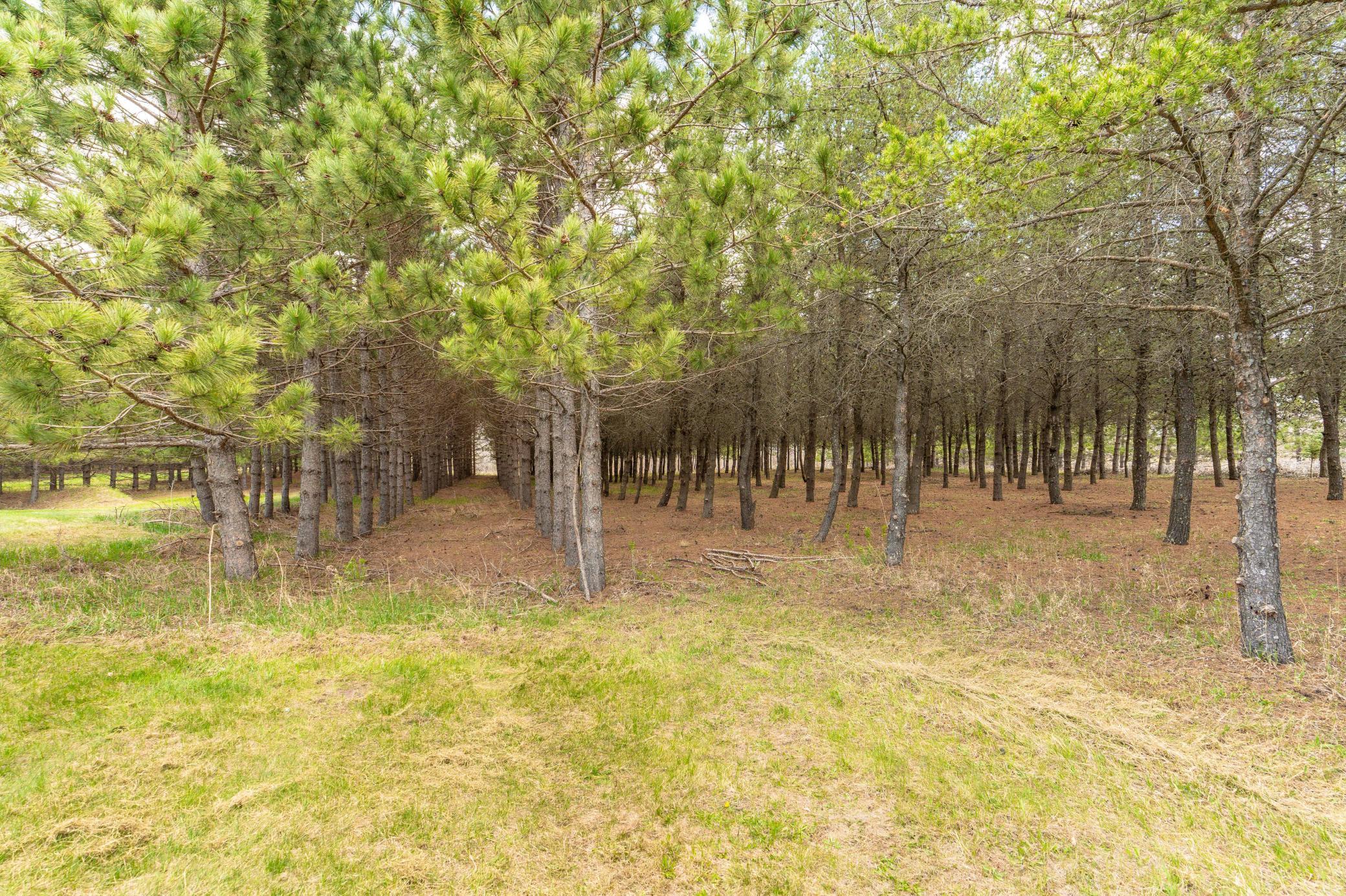 47500 Co Highway 51 Perham, MN 56573 - Photo 27 of 96