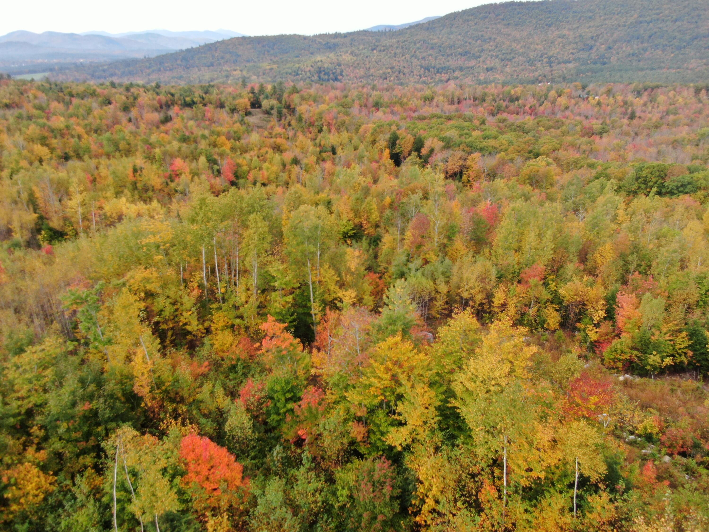 86 Nevel Road Bethel, ME 04217 - Photo 8 of 13 DJI_0135