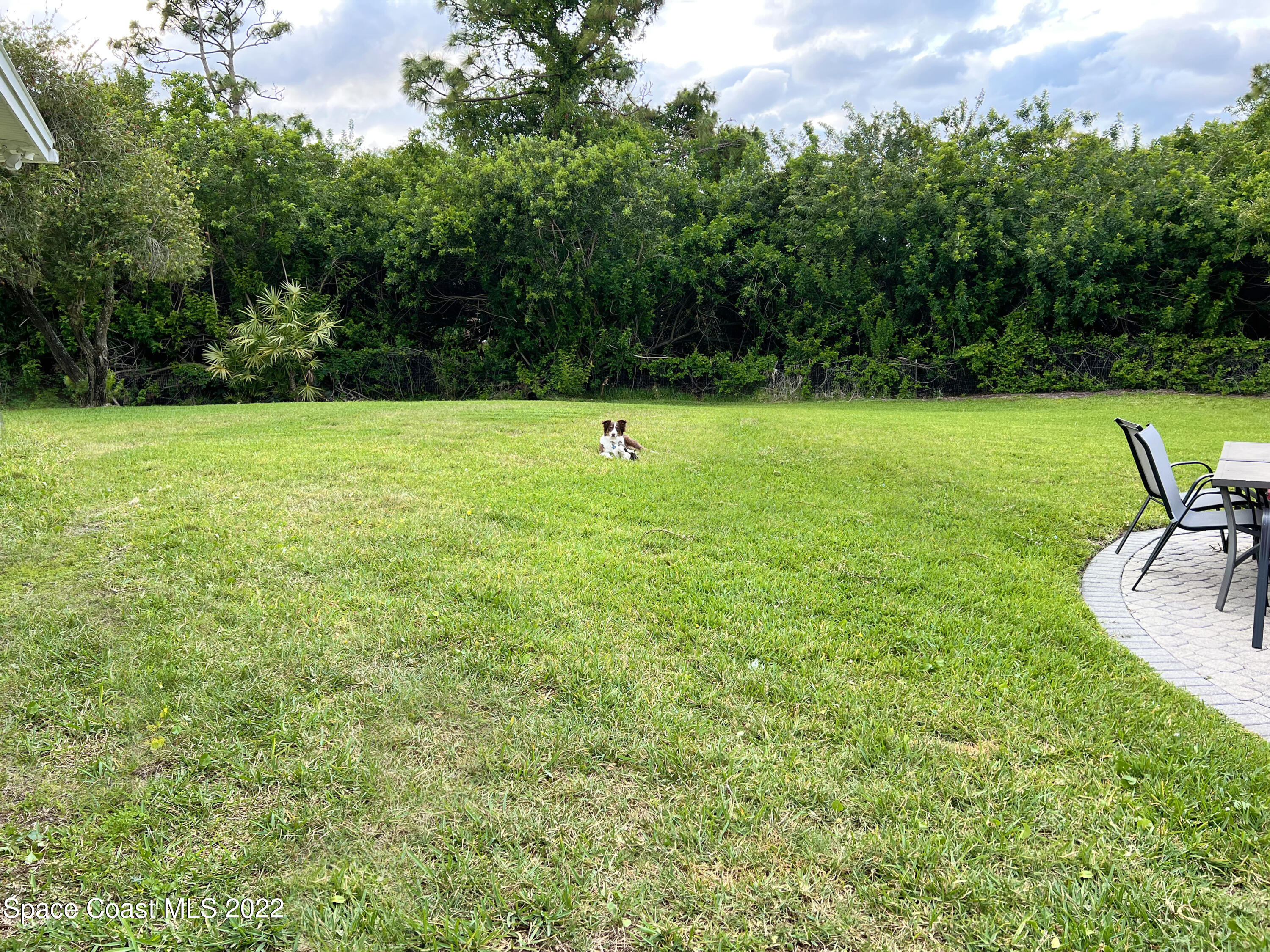 4030 Sparrow Hawk Road Melbourne, FL 32934 - Photo 9 of 46 PetsBackyard