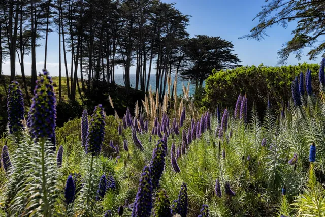 $575,000 | 315 Seascape Resort Drive, Aptos, CA 95003