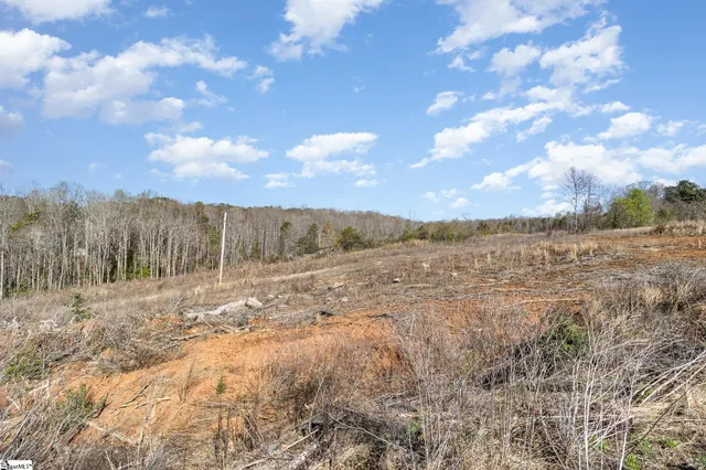 $1,999,999 | 157 Zion School Road, Easley, SC 29642