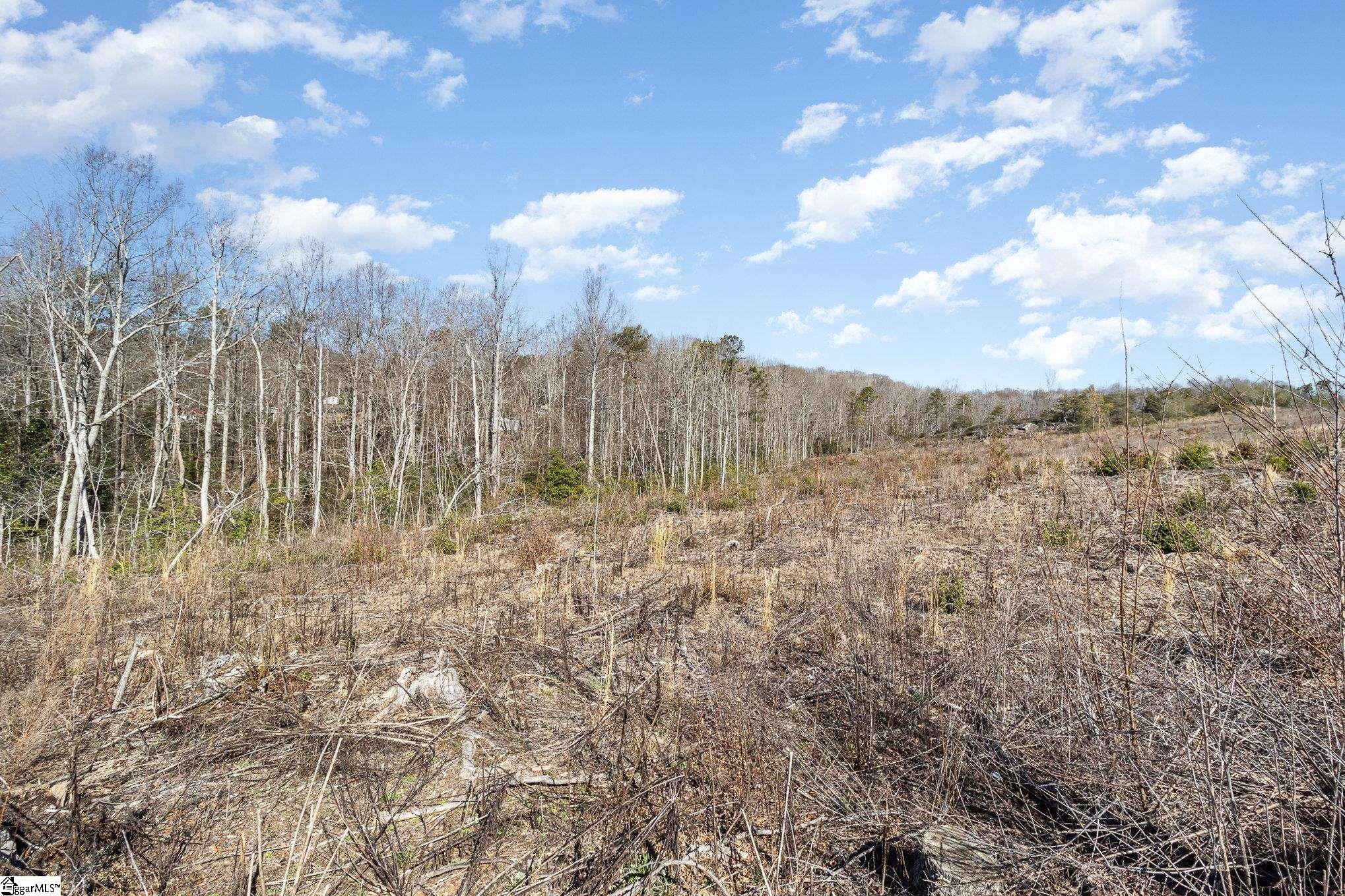 157 Zion School Road Easley, SC 29642 - Photo 8 of 12