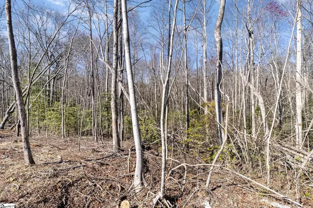 $1,999,999 | 157 Zion School Road, Easley, SC 29642