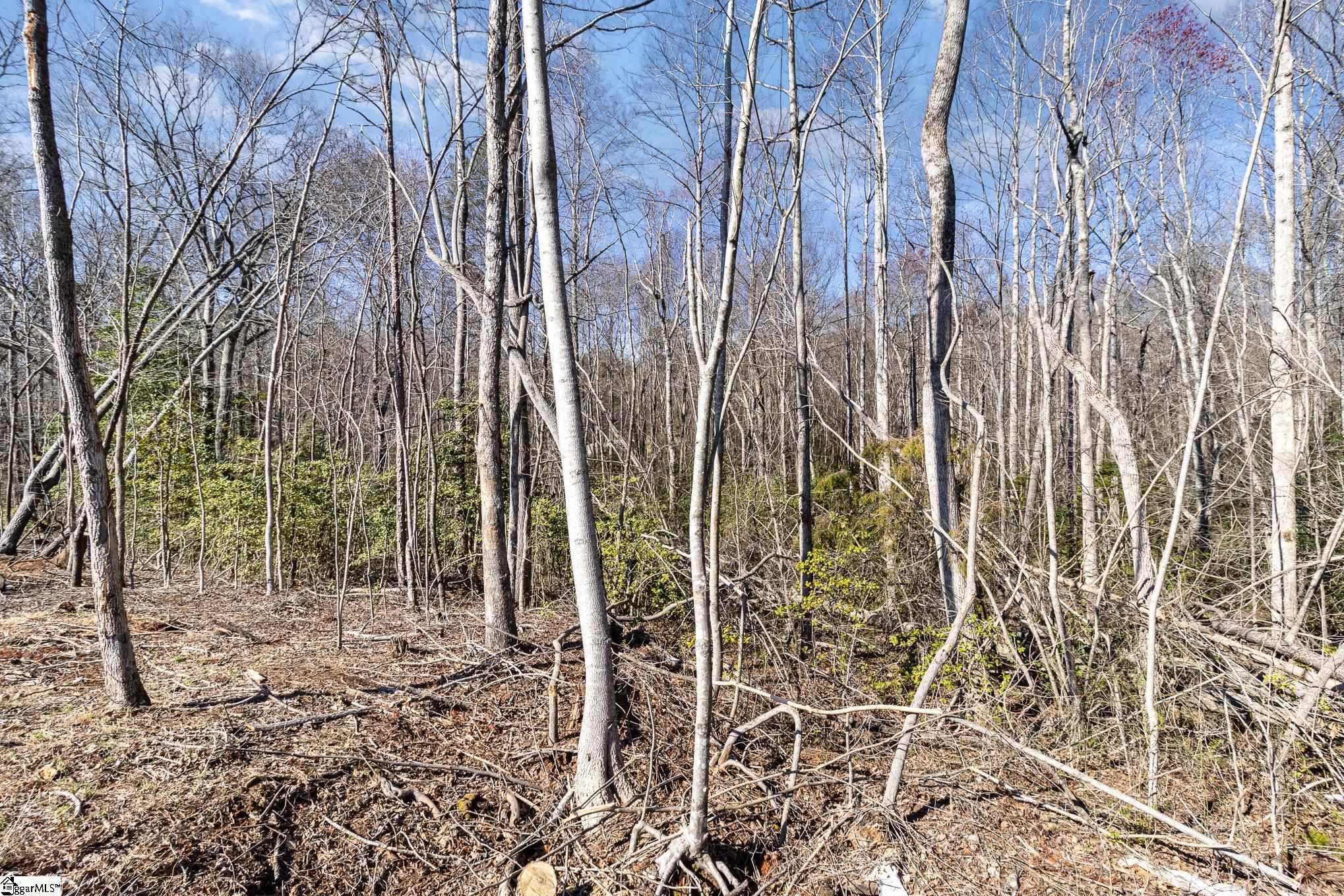 157 Zion School Road Easley, SC 29642 - Photo 9 of 12