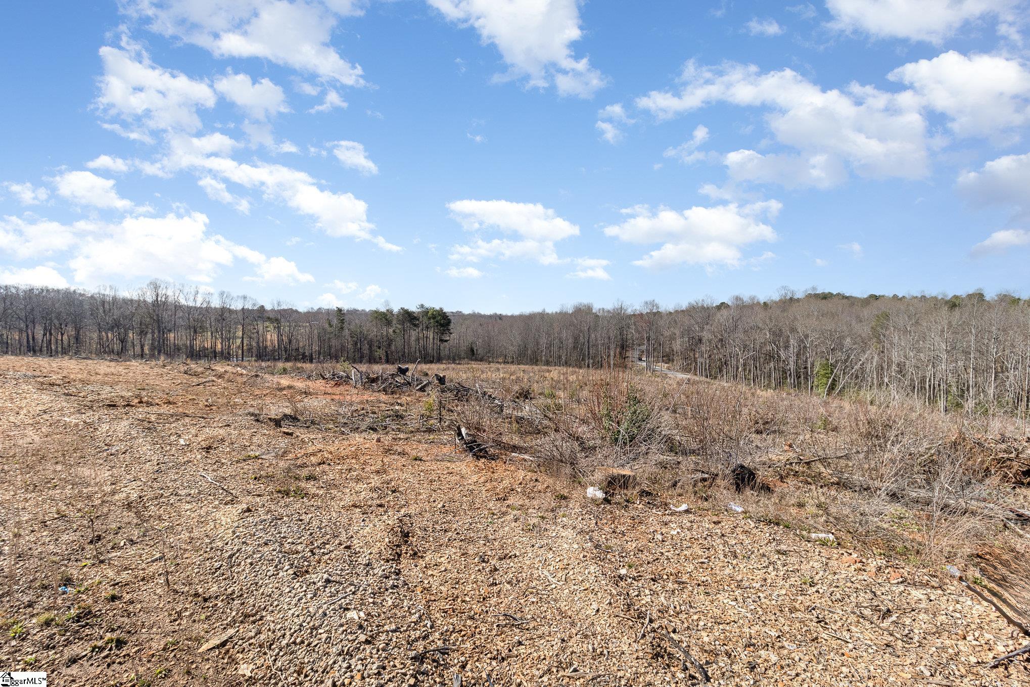 157 Zion School Road Easley, SC 29642 - Photo 10 of 12