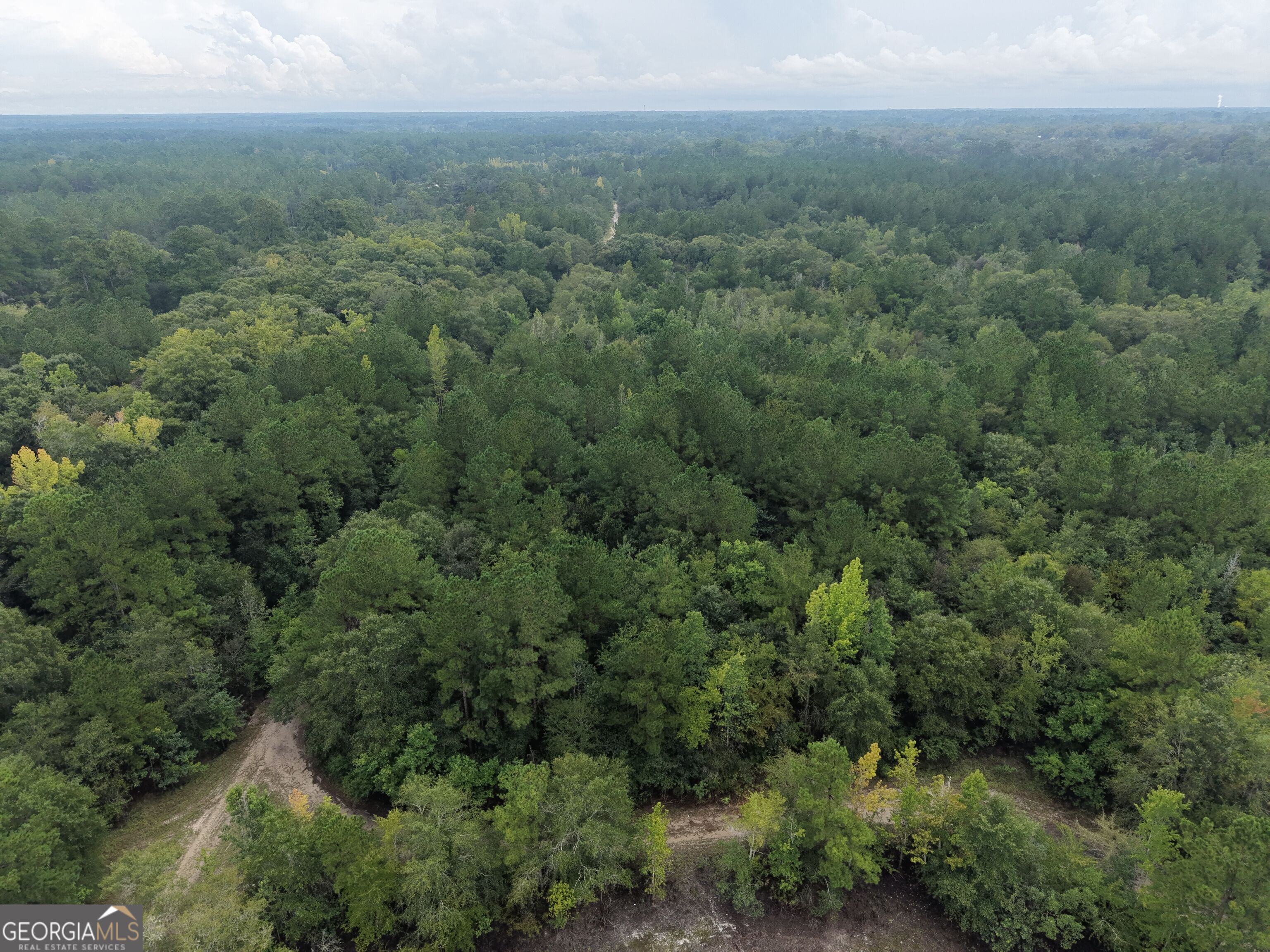 0 Jamestown Road Waycross, GA 31503 - Photo 6 of 92 Gallery Image 6