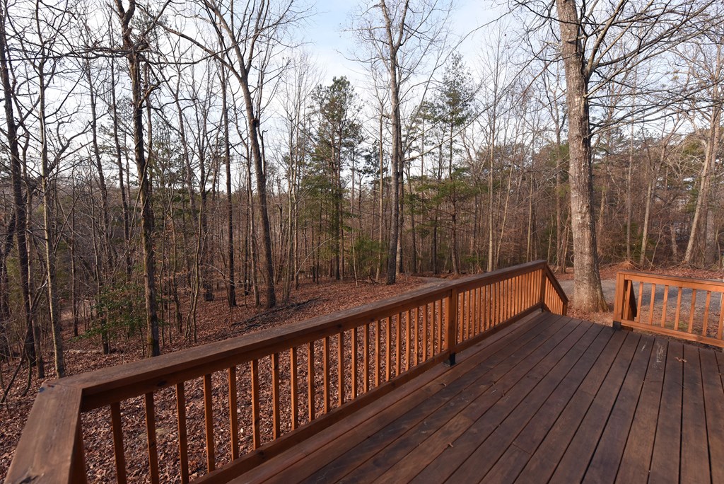 273 Rose Ray Road Ellijay, GA 30540 - Photo 12 of 32 Gallery Image 12