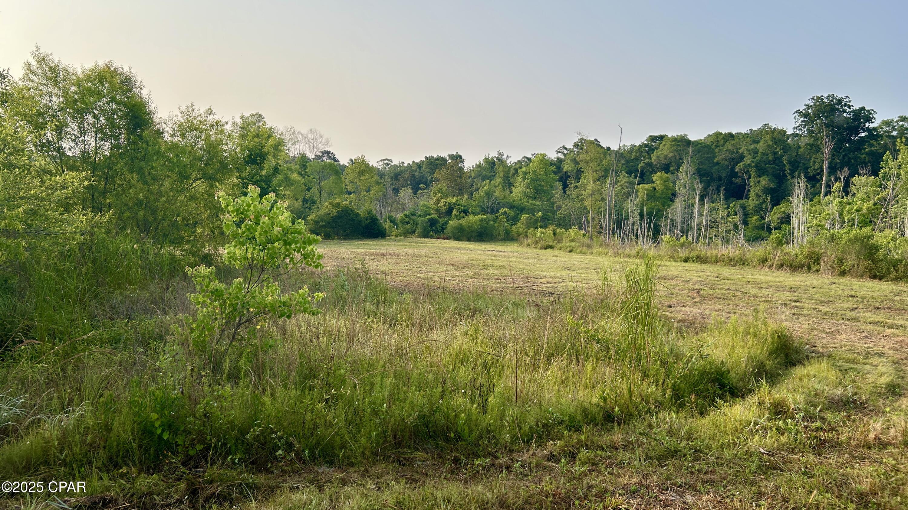 0 Alred Road Westville, FL 32464 - Photo 11 of 35 Gallery Image 11