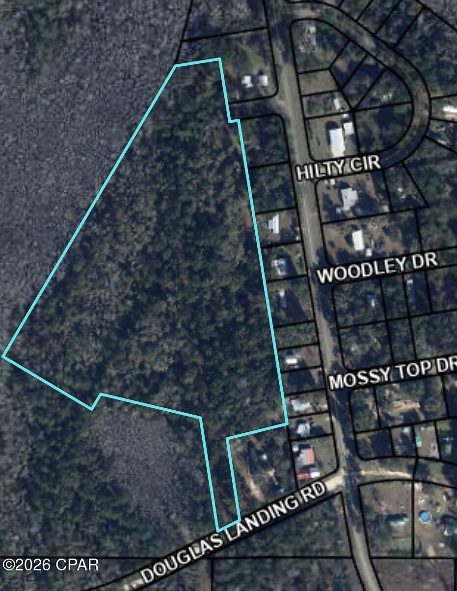 Tbd Douglas Landing Road Wewahitchka, FL 32465 - Photo 3 of 6