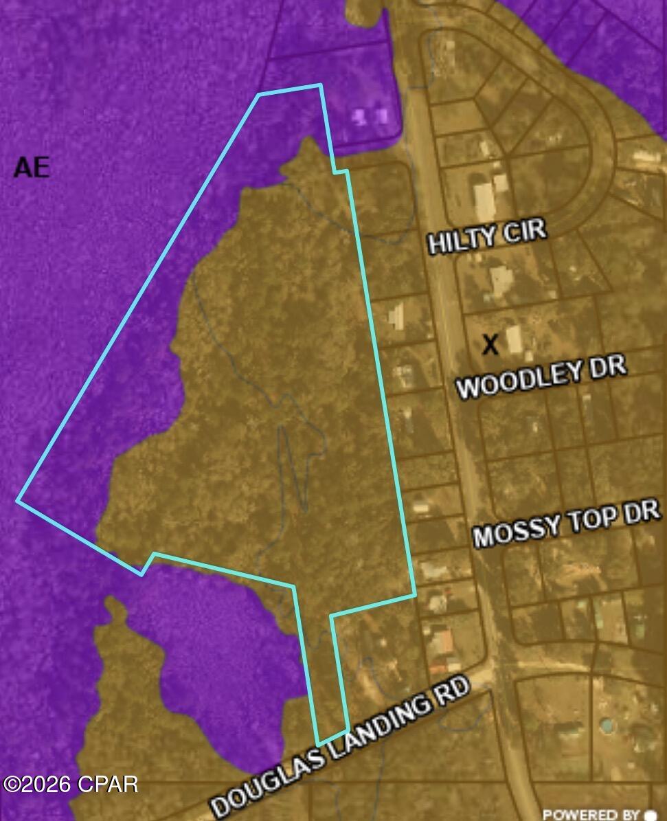 Tbd Douglas Landing Road Wewahitchka, FL 32465 - Photo 4 of 6