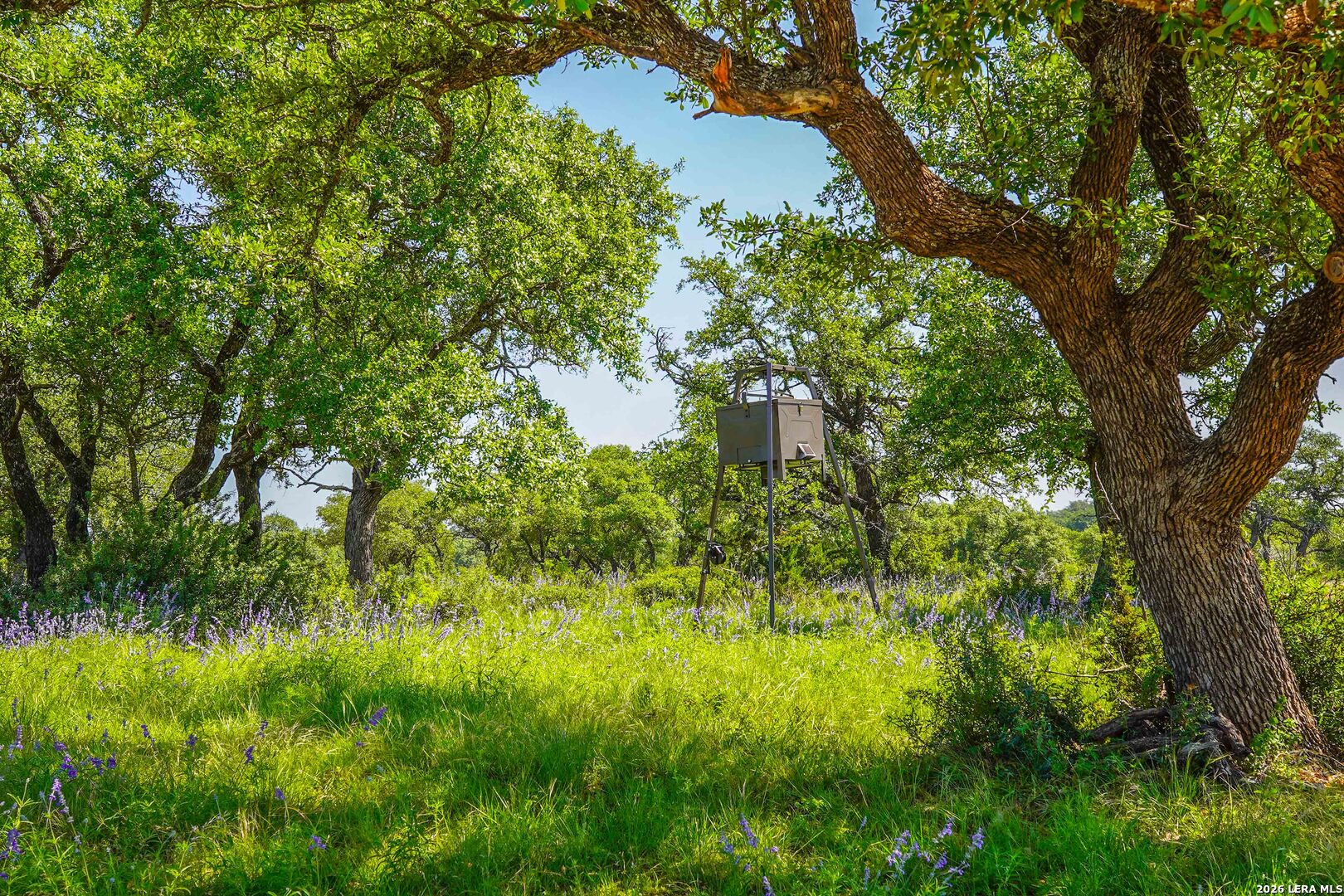 13217 Turner Road Menard, TX 76859 - Photo 89 of 107