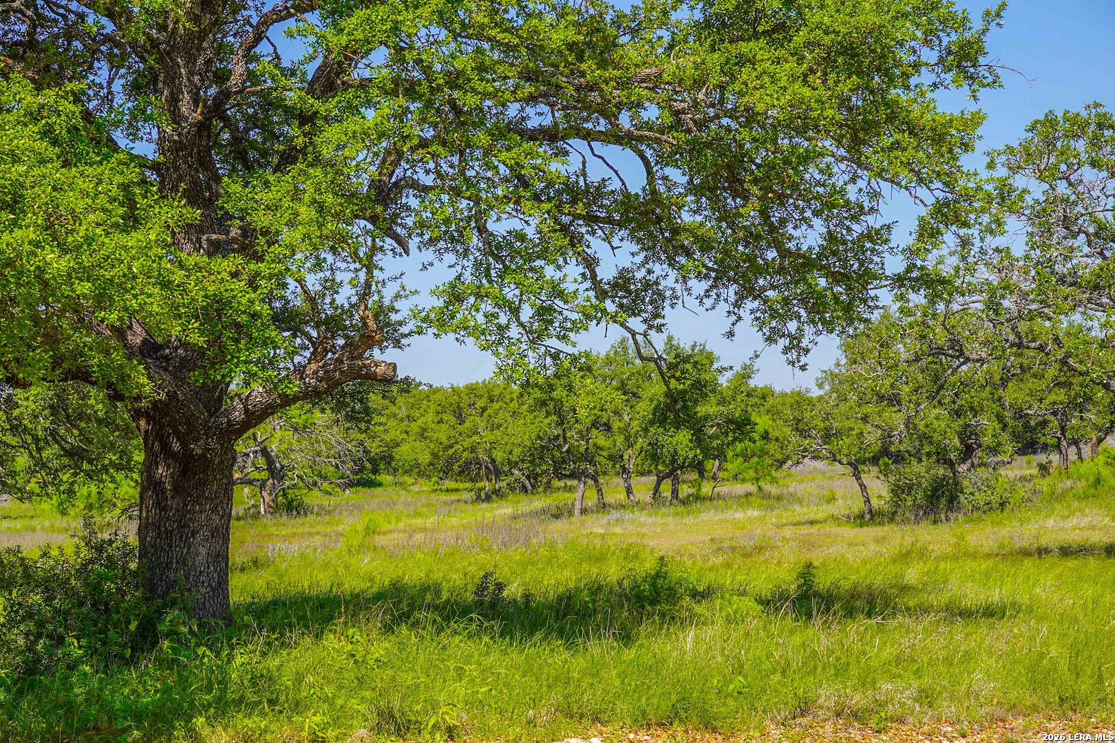 13217 Turner Road Menard, TX 76859 - Photo 90 of 107
