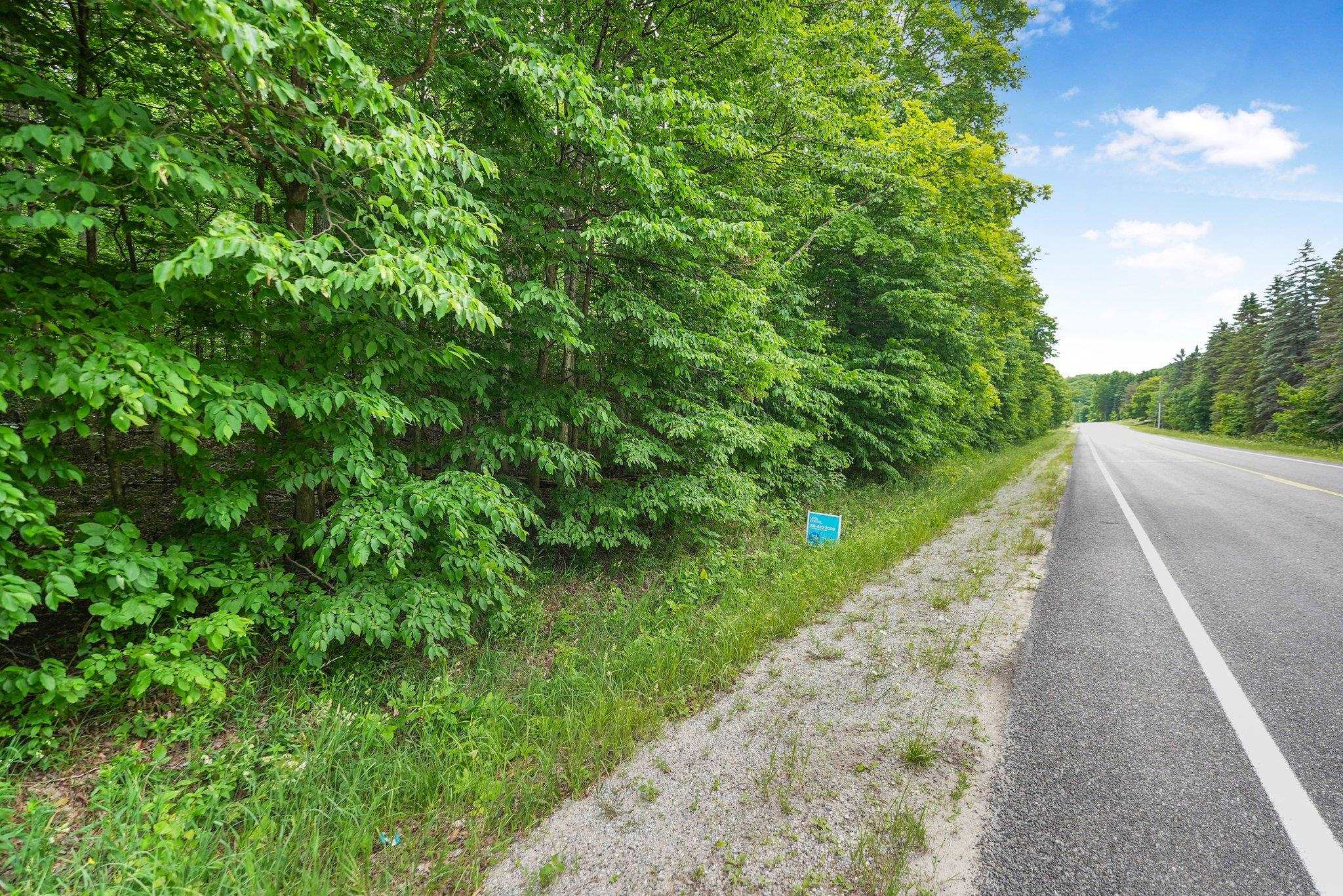 V/l South Coleman Road Maple City, MI 49664 - Photo 21 of 22 Gallery Image 21