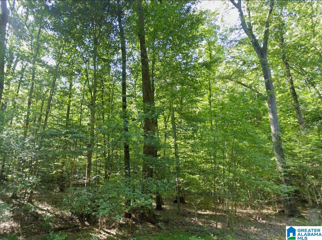 0 Stewart Hollow Road Grant, AL 35747 - Photo 6 of 6 Gallery Image 6